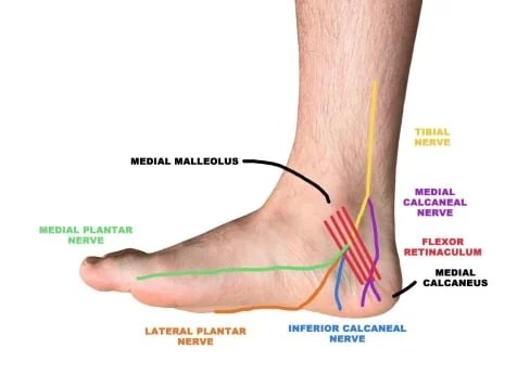 ankle nerve pain