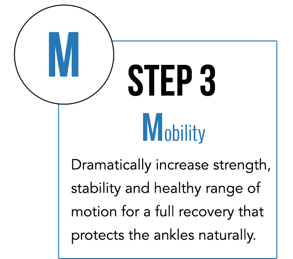 Muscle regeneration & repair