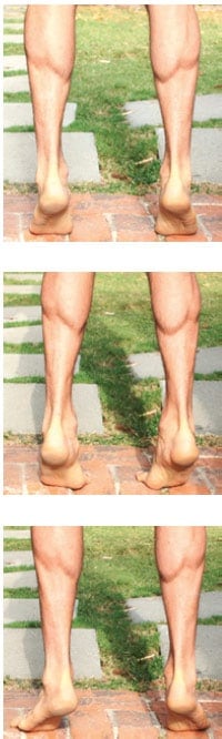 Calf raises online sore